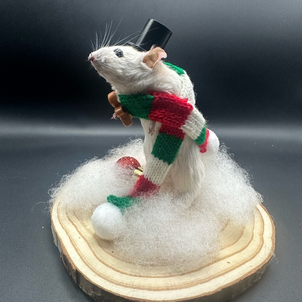 Festive White Mouse Figurine with Red and Green Scarf Taxidermy Real OOAK